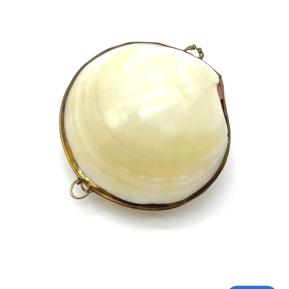 Handmade Seashell shiny clam trinket Box bound metal outer perfect for ring